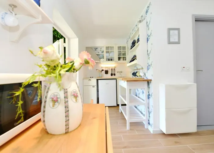 Apartment Bay House Rosohotnica